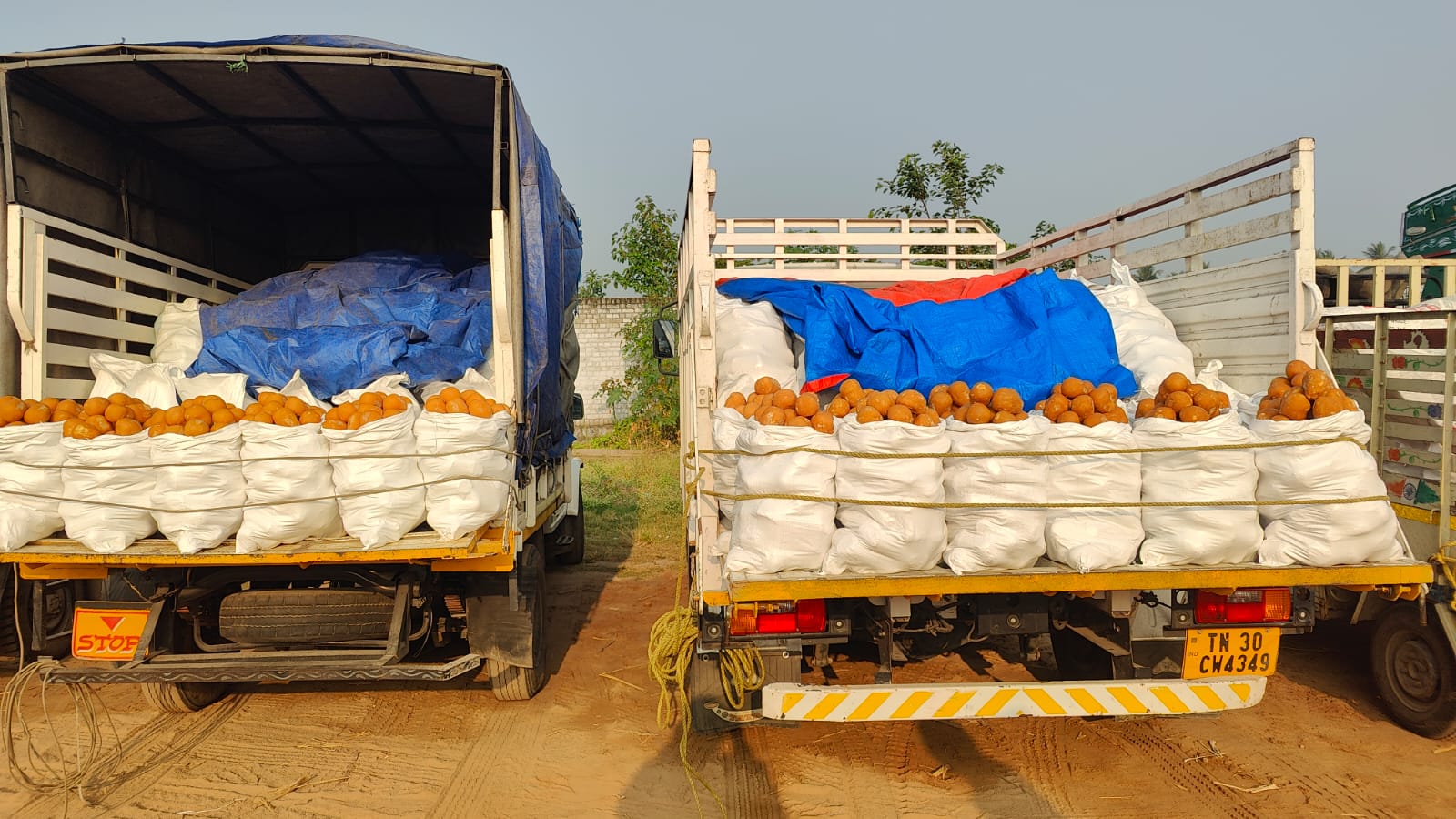 WhatsApp Image 2026-01-03 at 12.18.30 PM - Copy